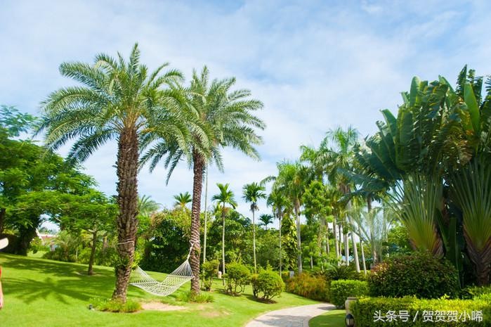 海南最旺的聚宝盆香港玄学大师李居明每次来都必去的一个地方