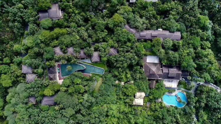 海南度假酒店位于热带雨林中，独特的野溪温泉，犹如天堂